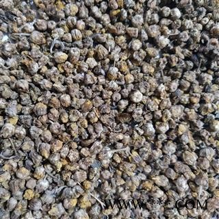 新到好货野菊花颗粒货，发货前过筛，干净无杂质图4