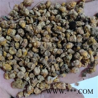 新到好货野菊花颗粒货，发货前过筛，干净无杂质图2