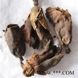 厚朴花 统 产地 四川省图3