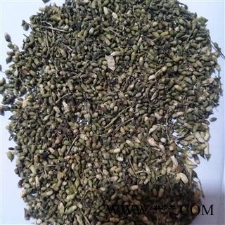 槐花 产地直销槐米新货颜色好，货干净 统货 产地 山东省图2