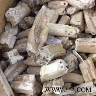 【精选】秦岭优质大块龙齿 产地直发日晒无硫 500g图3