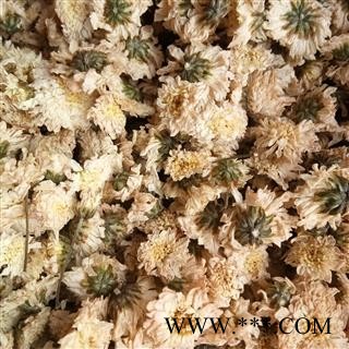 菊花 七月菊 产地 贡菊 浙江省图3