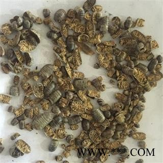 鼠妇虫 正品 精选鼠妇虫 产地 河南省图3