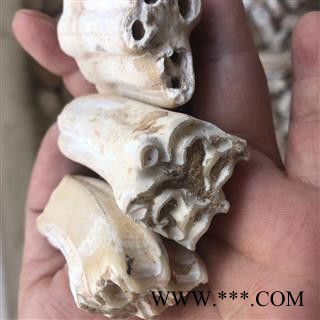 龙齿 白龙齿 选货 产地 内蒙古自治区 买好药找娟子图2