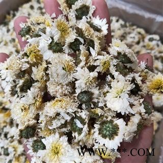 菊花 产地直销新货正品贡菊花选货，颜色好味道纯正假一赔万 产地 安徽省黄山市图3