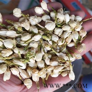 茉莉花 产地直销新货茉莉花好统货 产地 广西壮族自治区图2