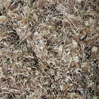 合欢花 夜合欢、夜合树 绒花树 鸟绒树 苦情花 统货 产地 山东省图2