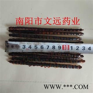 蜈蚣 蜈蚣中条选货12-13cm 产地 海外图2
