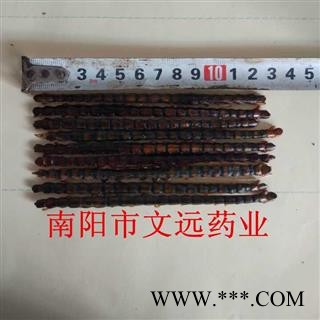 蜈蚣 蜈蚣中条选货12-13cm 产地 海外图3