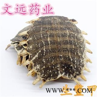 鳖甲  制鳖甲陈货统货 产地 河南省图2