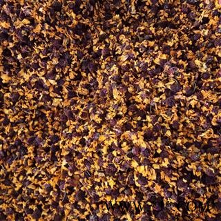 雪菊 菊花 凯捷中药 产地 新疆维吾尔自治区巴音郭楞蒙古自治州若羌县图2