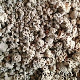 新辉药业中药材海藻石  海浮石 小海浮石图2