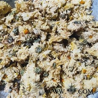 菊花 杭白菊胎菊统货 产地 浙江省图2