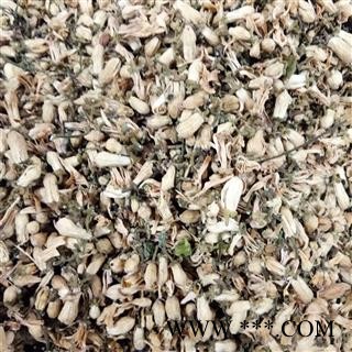 玳玳花 代代花 正品玳玳花 产地 浙江省图2