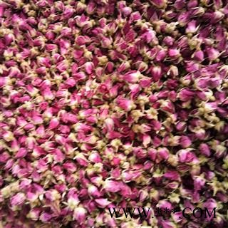 玫瑰花 山东玫瑰王 产地 山东省图2