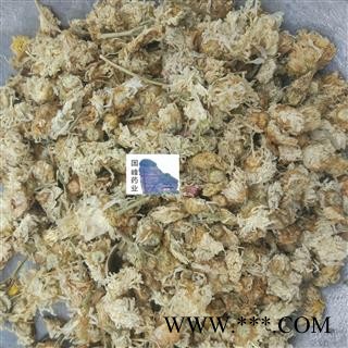 菊花 颜色好 足干 无虫蛀 国峰药业 重在品质 产地 河北省图2