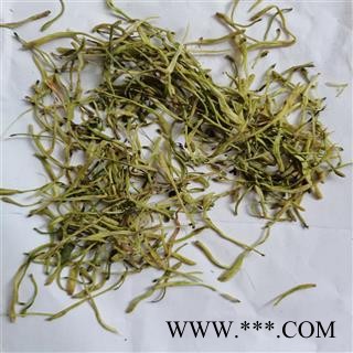 山银花  产地 湖北省鄂州市图2