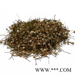 谷精草 统货 产地 河北省图3