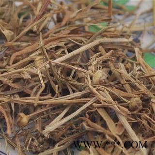 谷精草 统货 产地 河北省图2