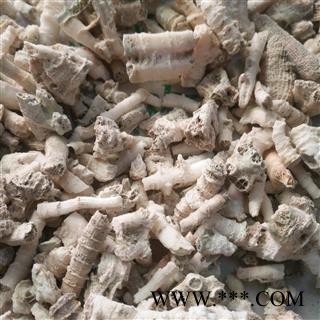 新辉药业正品鹅管石 钟乳滴乳石 珊瑚鹅管石图4