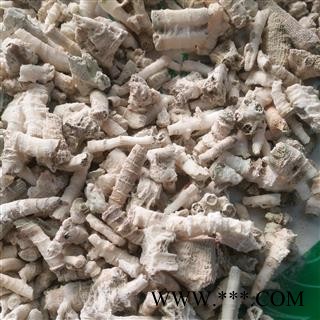 新辉药业正品鹅管石 钟乳滴乳石 珊瑚鹅管石图3