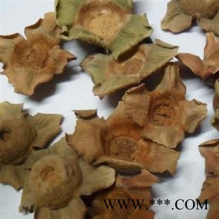 柿蒂 统 产地 山西省阳泉市郊区图3