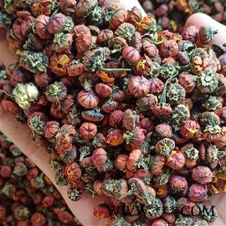 雪菊 昆仑雪菊 产地 新疆维吾尔自治区图2