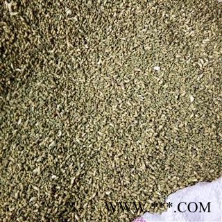 槐花 槐米 统货（色青） 产地 河北省图3