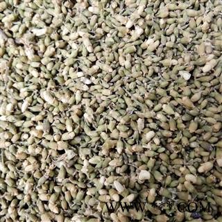 槐花 槐米 统货（色青） 产地 河北省图2