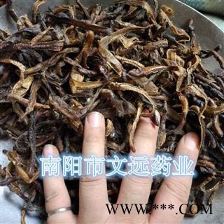 地龙 广地龙半开个 产地 广西壮族自治区钦州市图3