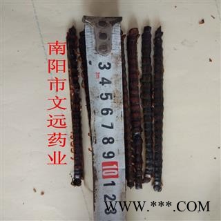 蜈蚣 蜈蚣小条选货10-11cm 产地 海外图2