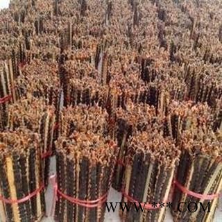 蜈蚣 蜈蚣小条选货10-11cm 产地 海外图4