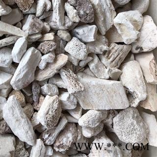 龙骨 正品 龙骨统货 龙骨块 保证品质 产地 甘肃省 娟子中药行图4