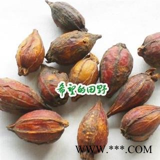 黄栀子1000克图2