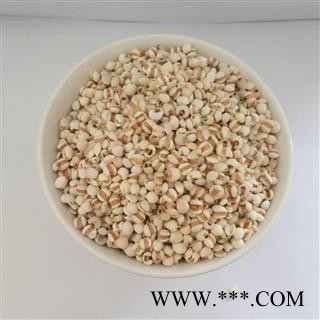 薏苡仁 小薏米&【国舜堂】产地货源 量大从优 中药材批发供应【薏苡仁】图3