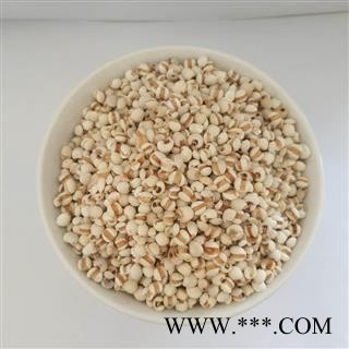 薏苡仁 小薏米&【国舜堂】产地货源 量大从优 中药材批发供应【薏苡仁】图4