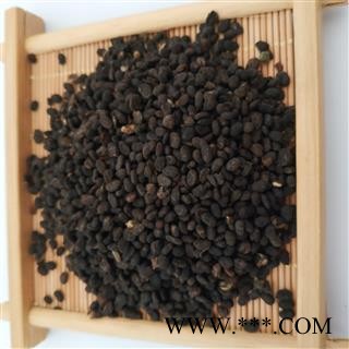 补骨脂【国舜堂】一手货源 规格齐全 量大从优 中药材批发供应【补骨脂】图3