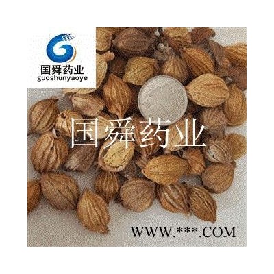 香砂 颜色好足干 好统货 产地 广西壮族自治区