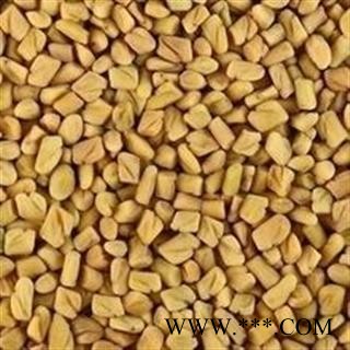 葫芦巴 统 产地 山东省图2