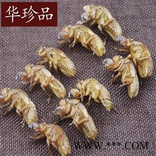 华珍品中药材超市 蝉蜕 02 蝉蜕 水洗四次 产地 山东省图2