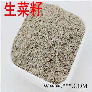 生菜籽 白生菜籽 1000克图2