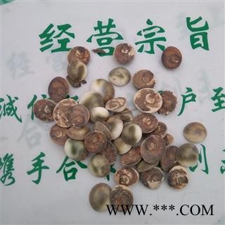 瑞森药材行太极石 水云母 海螺盖 催生子 甲香图2