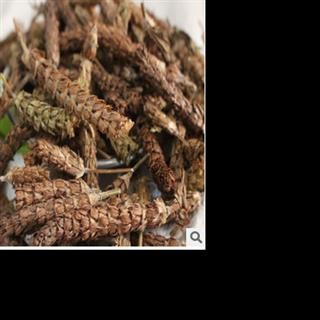 夏枯球统货 产地 河南省图3