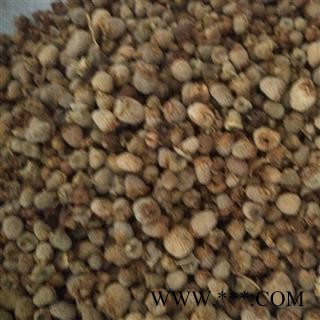 覆盆子 统 产地 浙江省图3