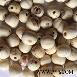 白莲子 统 产地 湖南省图2