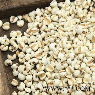 【99包邮】薏苡仁 98米小薏苡仁新货 味道好 【良心经营 品种齐全】图4