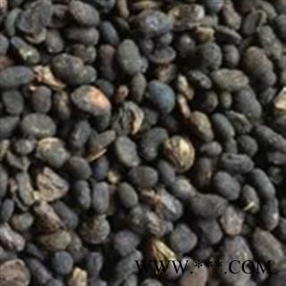 补骨脂 补骨脂饱满统货 产地 云南省图2