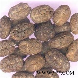 砂仁 统 产地 广西壮族自治区图2