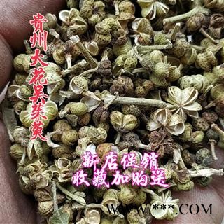 新货贵州野生中草药中花吴茱萸500g包邮 中药材吴萸吴朱萸吴茱芋