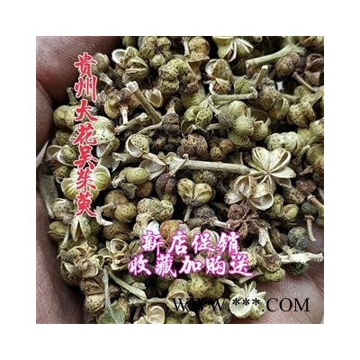 新货贵州野生中草药中花吴茱萸500g包邮 中药材吴萸吴朱萸吴茱芋